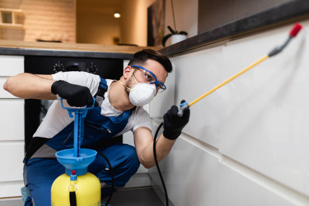 Best Flea Control Services  in Prairie Heights, WA