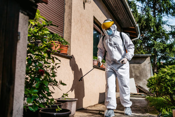 Best Termite Control Services  in Prairie Heights, WA
