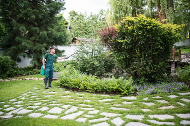 Flea Control Services in Prairie Heights, WA