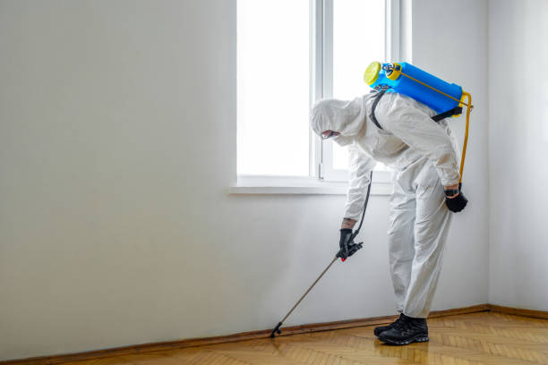 Best Exterminator Services  in Prairie Heights, WA