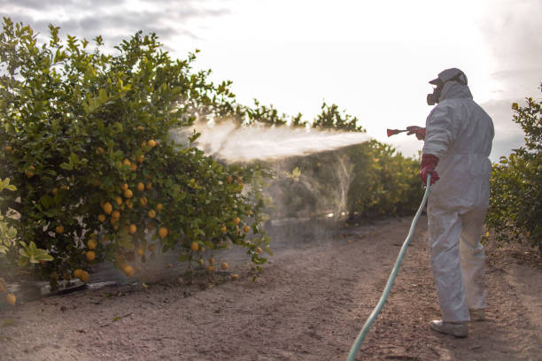 Best Residential Pest Control  in Prairie Heights, WA